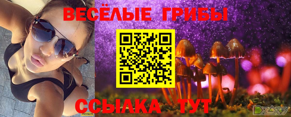 Гудермес  Псилоцибиновые грибы Magic Shrooms  где можно купить   Вход с VPN 