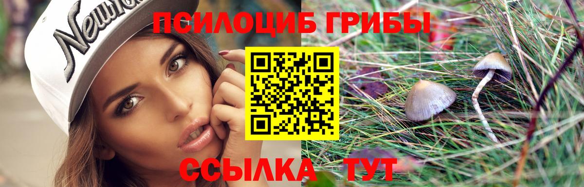 Галлюциногенные грибы мицелий Гудермес